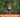Trail Running for Beginners: What You Need to Know