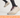Running for Fitness vs Running for Performance: Choosing Shoes Based on Your 2026 Goals