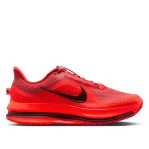 Nike Men's Pegasus Premium Road Running Shoes
