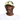 Ciele GOCap SC Classic C Plus Box Glade/ Seaweed Running Cap