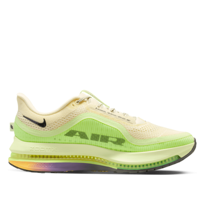 Nike Men's Pegasus Premium Road Running Shoes