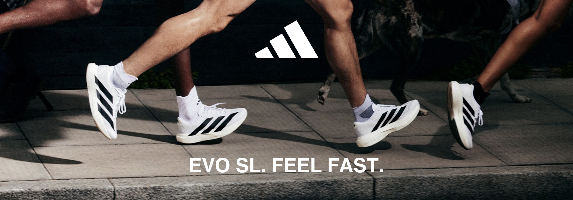 Runnr: The leading running specialty store in the Philippines