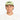 Ciele GOCap Field Iconic Bar Taragon Fava Running Cap
